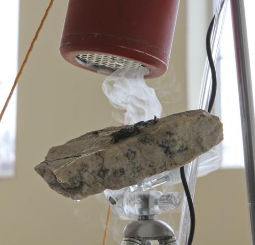 Steve Gurysh, Projected Wetlands (detail), 2011